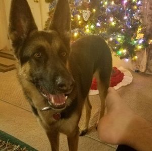 Meet your Posher, Cody